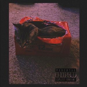 Meet your Posher, ✨mireya✨